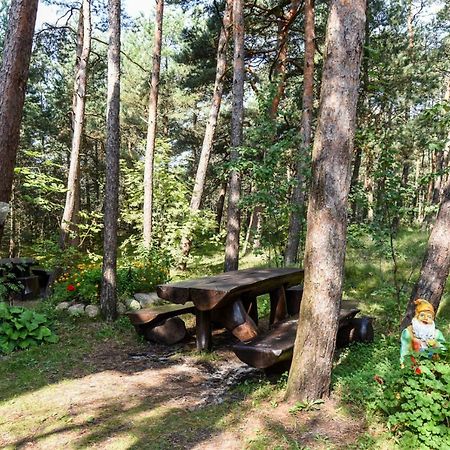 Vila Krantas Palanga Kültér fotó