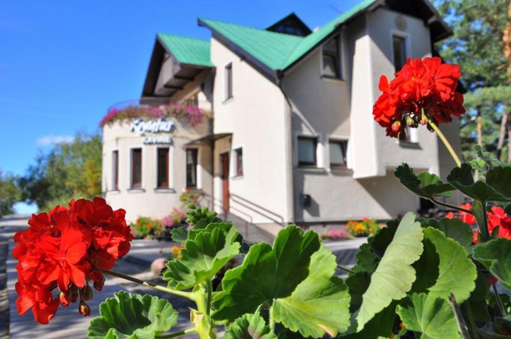 Vila Krantas Palanga Kültér fotó