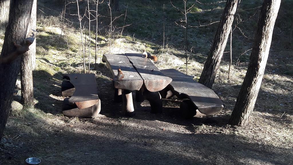 Vila Krantas Palanga Kültér fotó